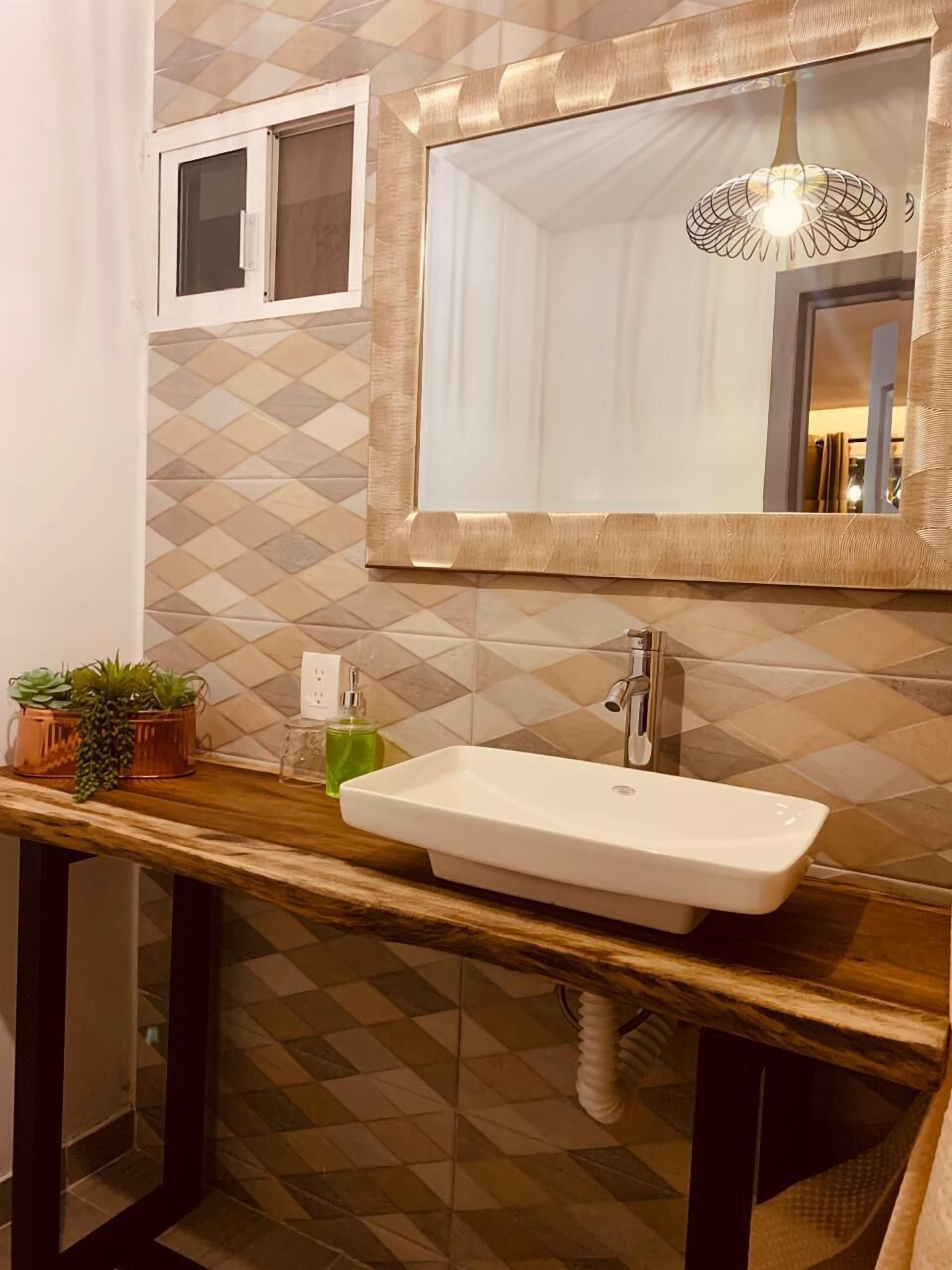 A bathroom with a white sink, a mirror, and a window above the sink. There are plants on the counter and a bottle of soap.
