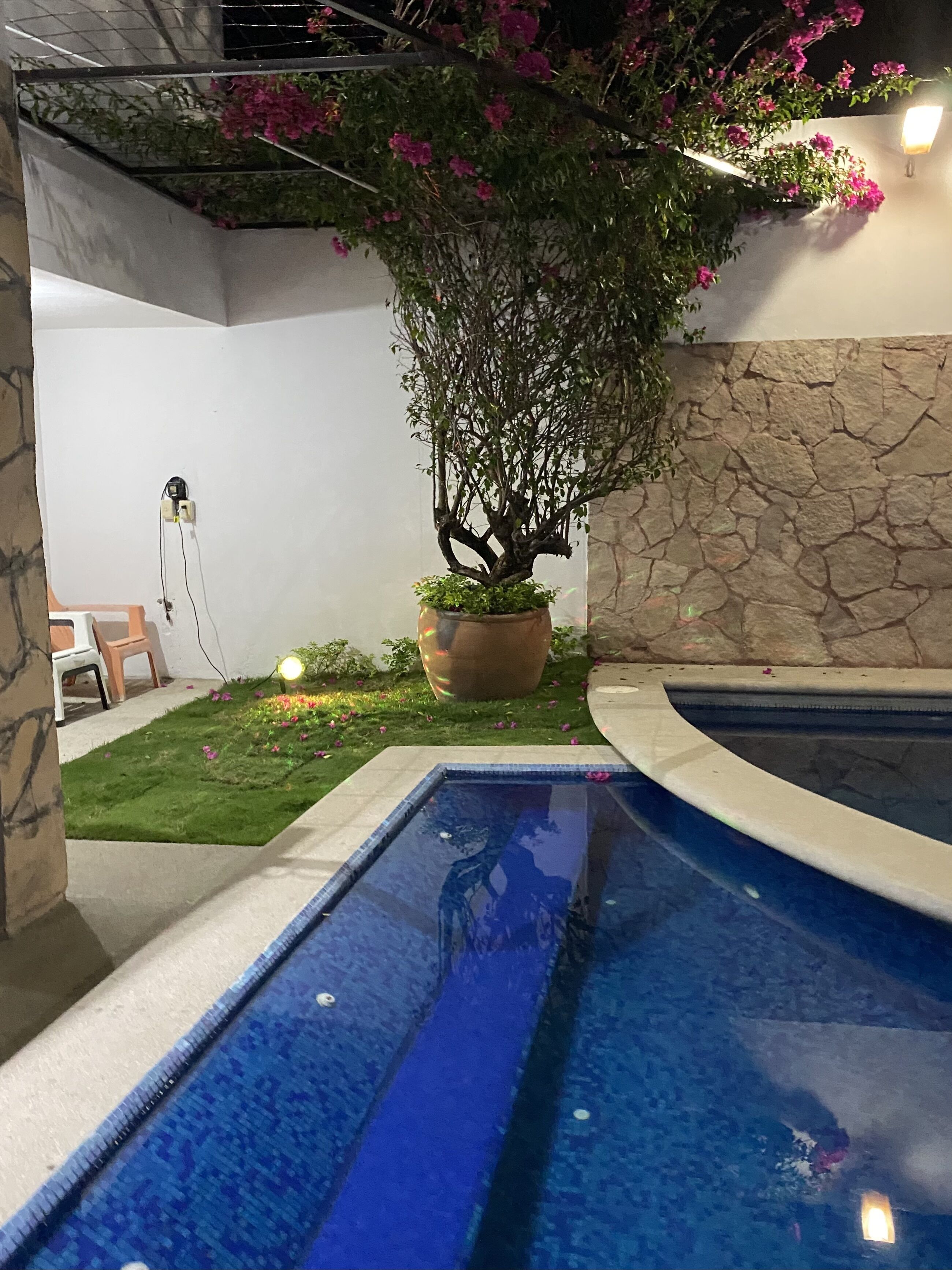 A swimming pool with a stone wall and a potted tree with pink flowers.