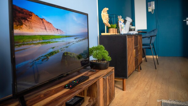 Uma sala de estar moderna com uma televisão de tela plana sobre um suporte de madeira, uma pequena planta em vaso e um controle remoto.
