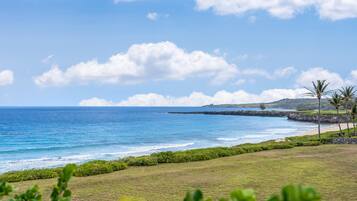 Apartment | 1 bedroom, Internet