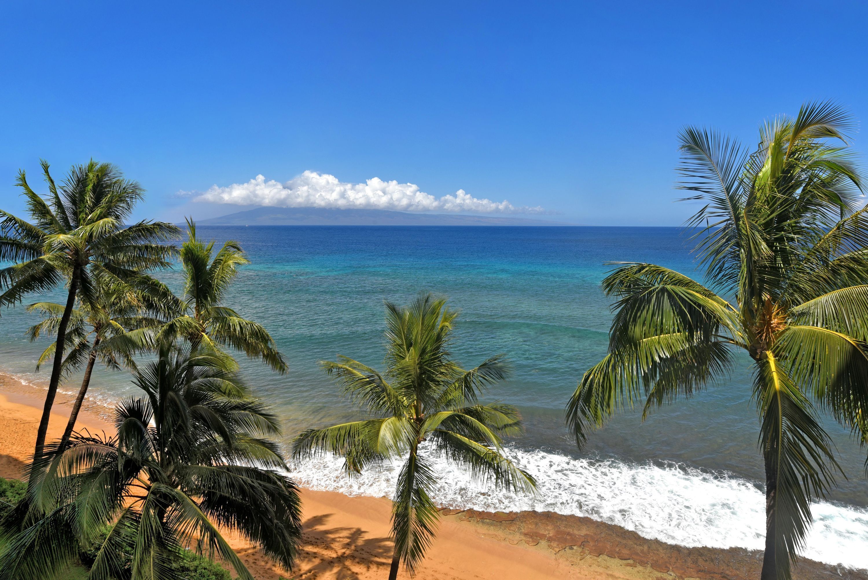 開放式客房 | 網路服務