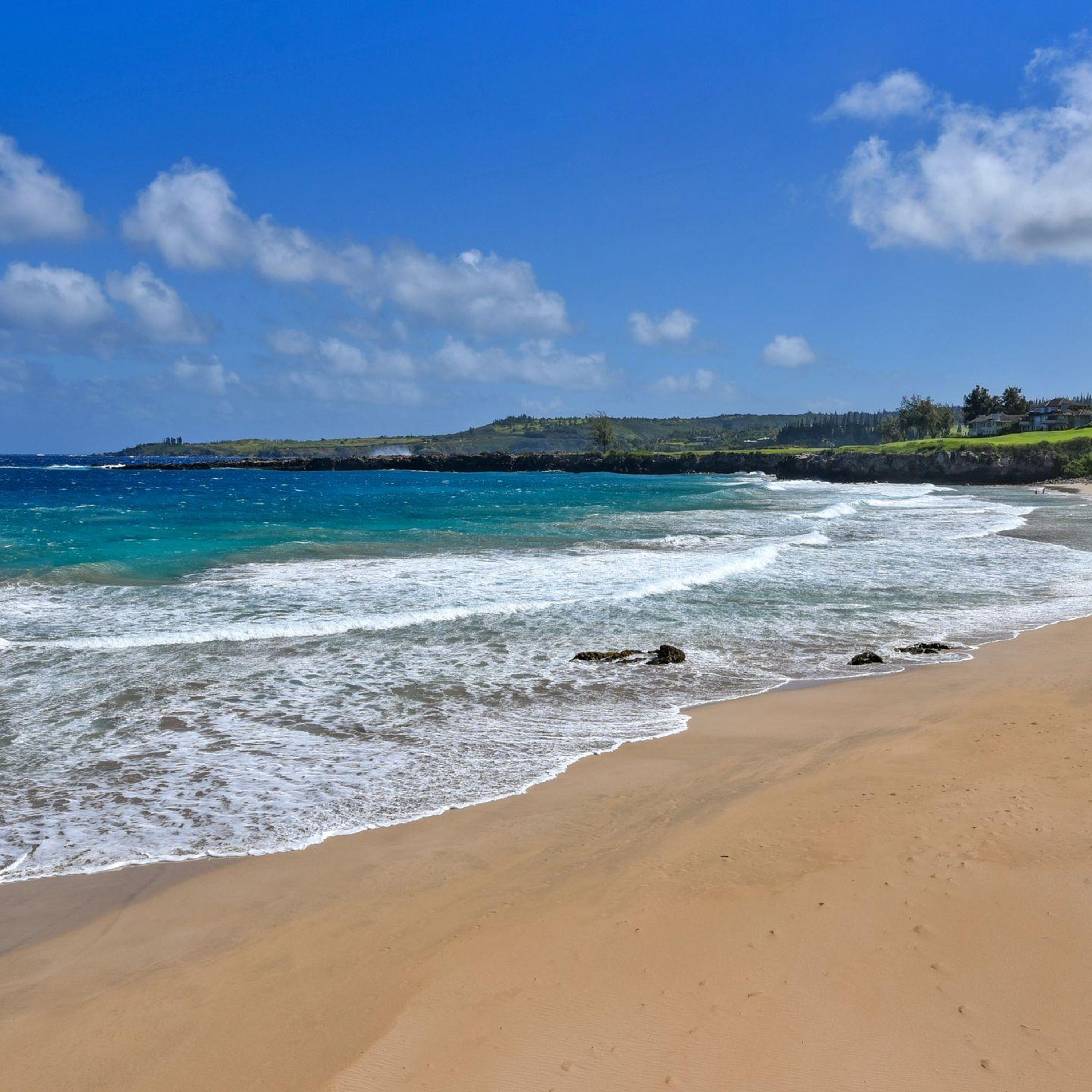 Apartment | 1 bedroom, Internet