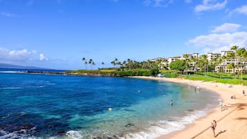 Apartment | 1 bedroom, Internet