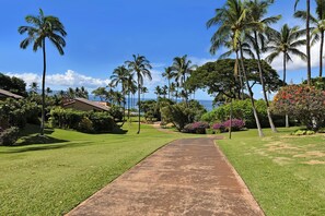 Apartment | 1 bedroom, desk, iron/ironing board, free Internet - Wailea Ekahi 17D in Kihei (Kihei)