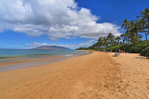 Apartment | 1 bedroom, desk, iron/ironing board, free Internet - Wailea Ekahi 17D in Kihei (Kihei)