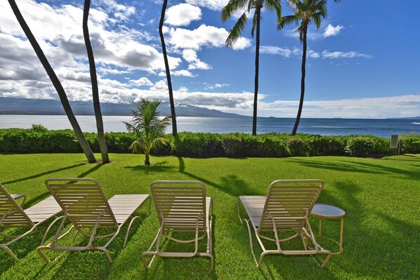 Appartamento | 1 camera, Internet