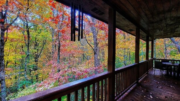 A covered wooden deck with a view of a colorful autumn forest. - Twin Fox Cabin Peaceful Blue Ridge/Ellijay Retreat (Cherry Log)