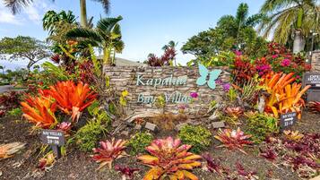 Apartment | 1 bedroom, Internet