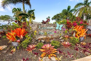 Apartment | 1 bedroom, Internet - Kapalua Bay Villas 23b1 (Kapalua)