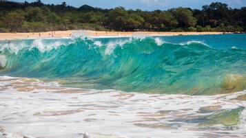 Apartment | 1 bedroom, Internet