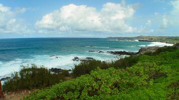 Apartment | 1 bedroom, Internet