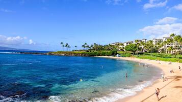 Apartment | 1 bedroom, Internet