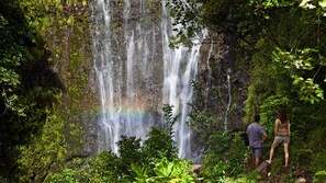 Appartement | 2 chambres, Internet