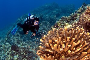 公寓 | 2 間臥室、網路服務