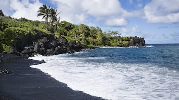 Apartment | 2 bedrooms, Internet