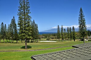 Appartamento | 1 camera, Internet