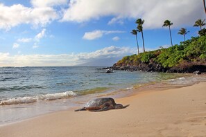 公寓 | 2 間臥室、網路服務