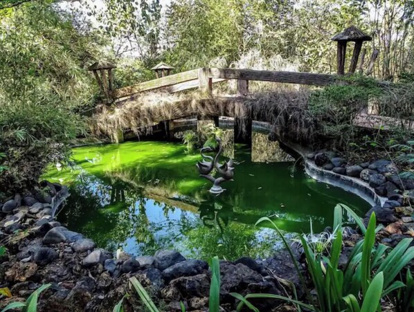 Terrain de l’hébergement 