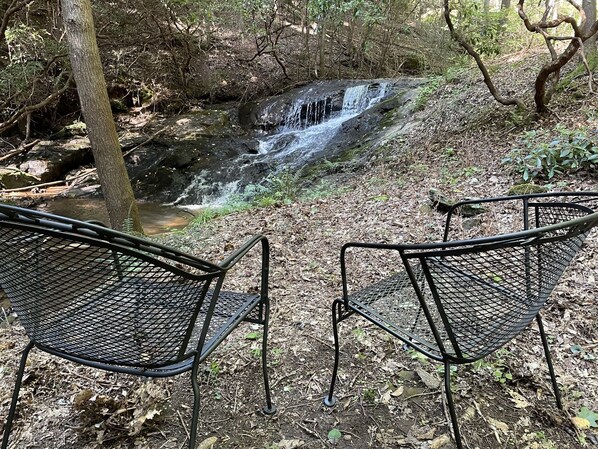 Property grounds - Plan your winter weekend getaway with us! (Dahlonega)