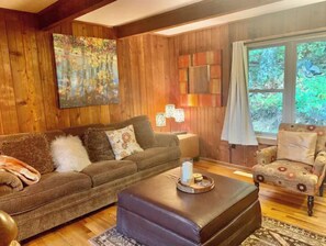 Älytelevisio, takka, DVD-soitin, kirjoja