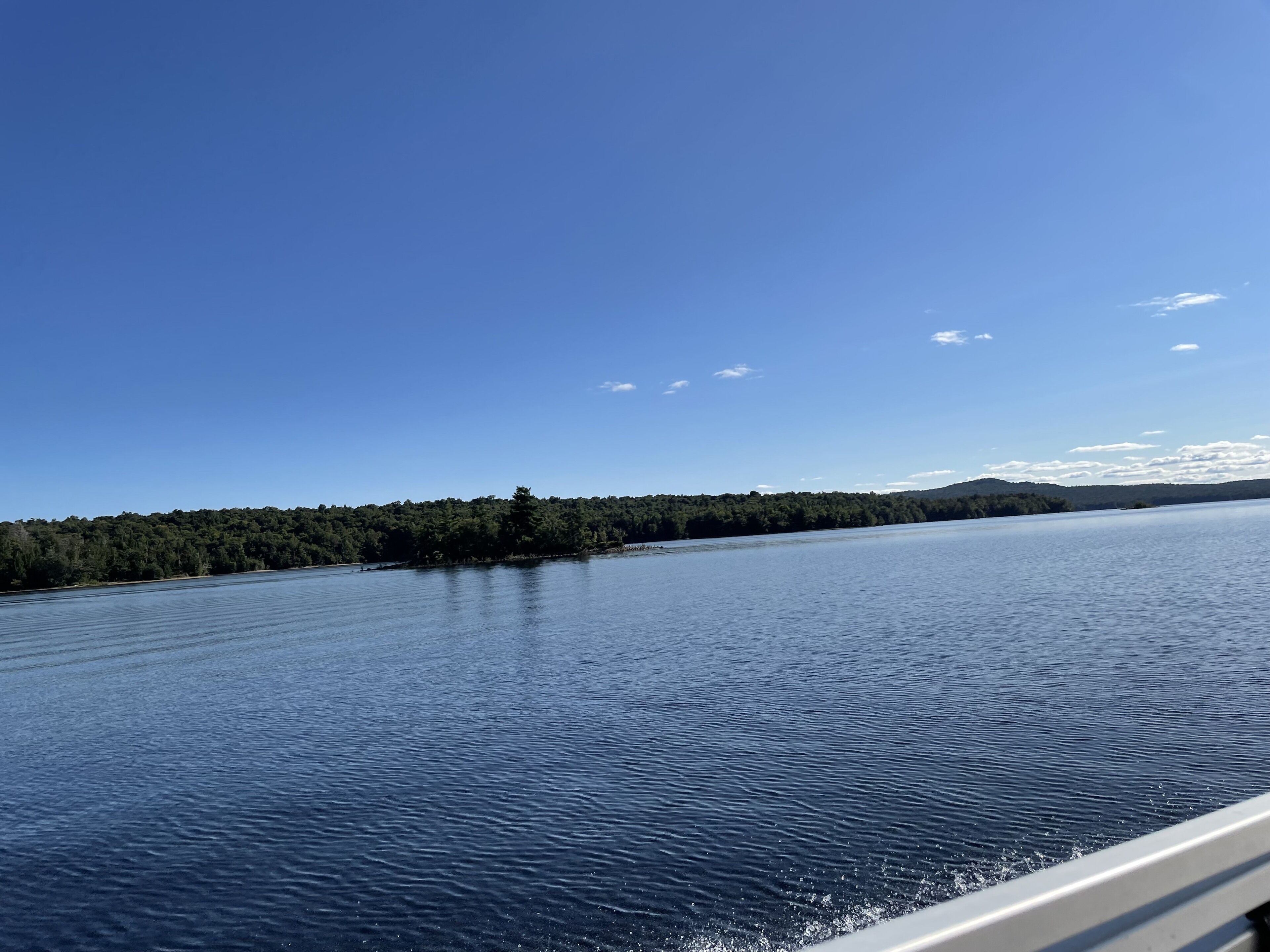 Un lac paisible, bordé d’une forêt, sous un ciel bleu dégagé.