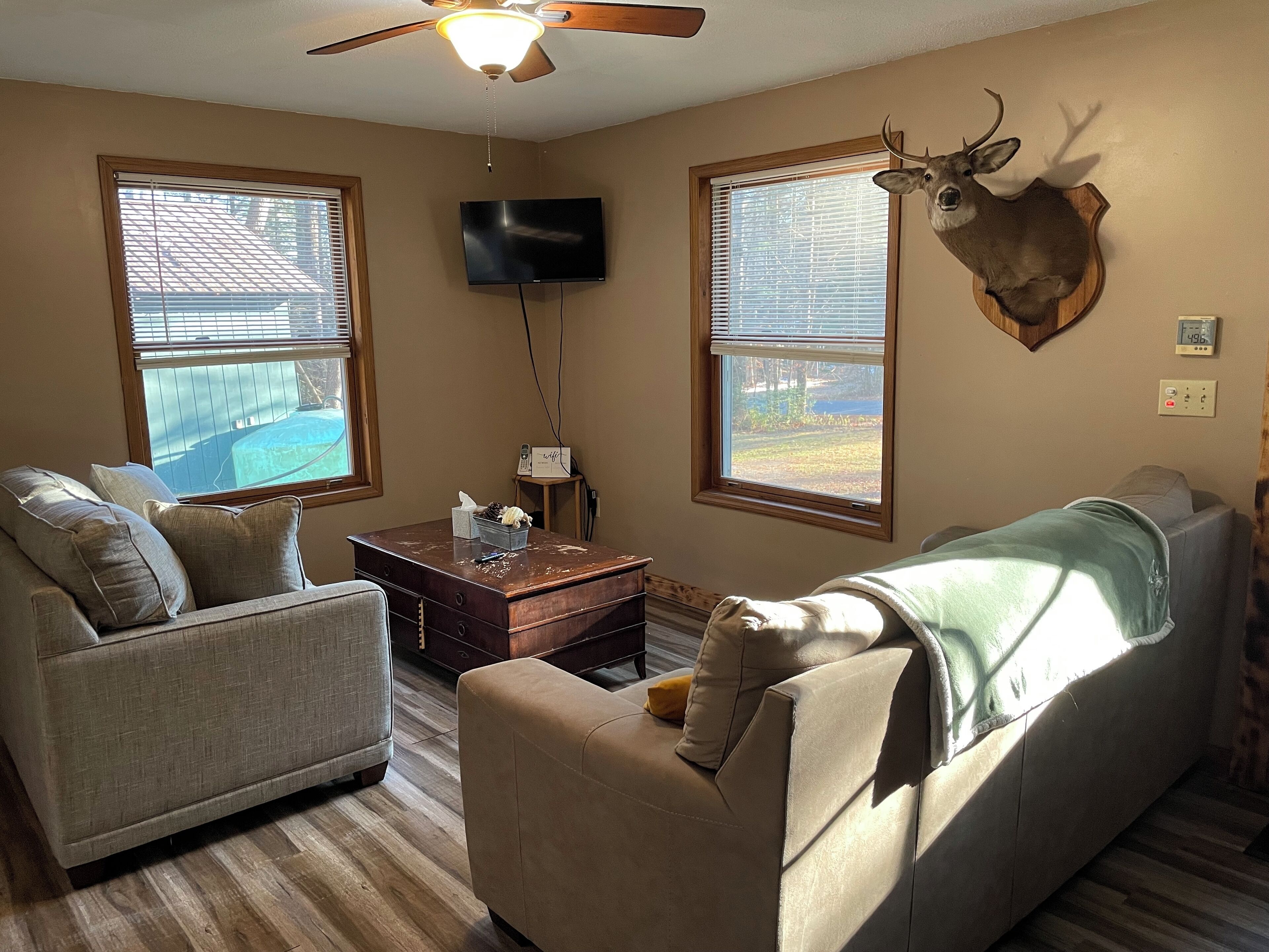 Televisor intel·ligent i llar de foc 