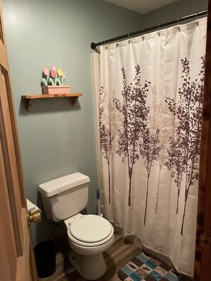Combined shower/tub, soap, toilet paper - Cozy cabin in the Adirondacks (Lowville)