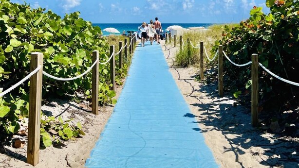A pathway leading to a beach with a clear blue sky and ocean in the background.