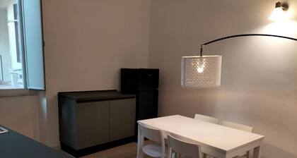 Large and very central apartment just renovated