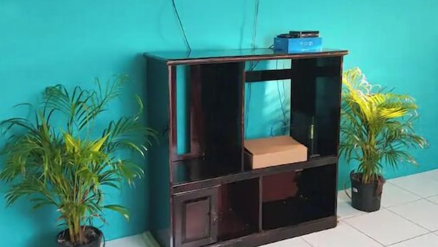 Een kamer met een blauwgroene wand, een flatscreen televisie bevestigd boven een donker houten meubel en twee potplanten aan weerszijden.