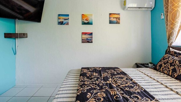 Un dormitorio con una cama, un televisor de pantalla plana montado en la pared y un aire acondicionado.