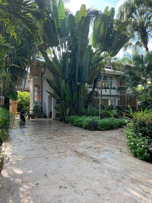 Property grounds - Beachfront Designer Villa Steps to the Beach • Private Pool (Puntarenas Santa Teresa)