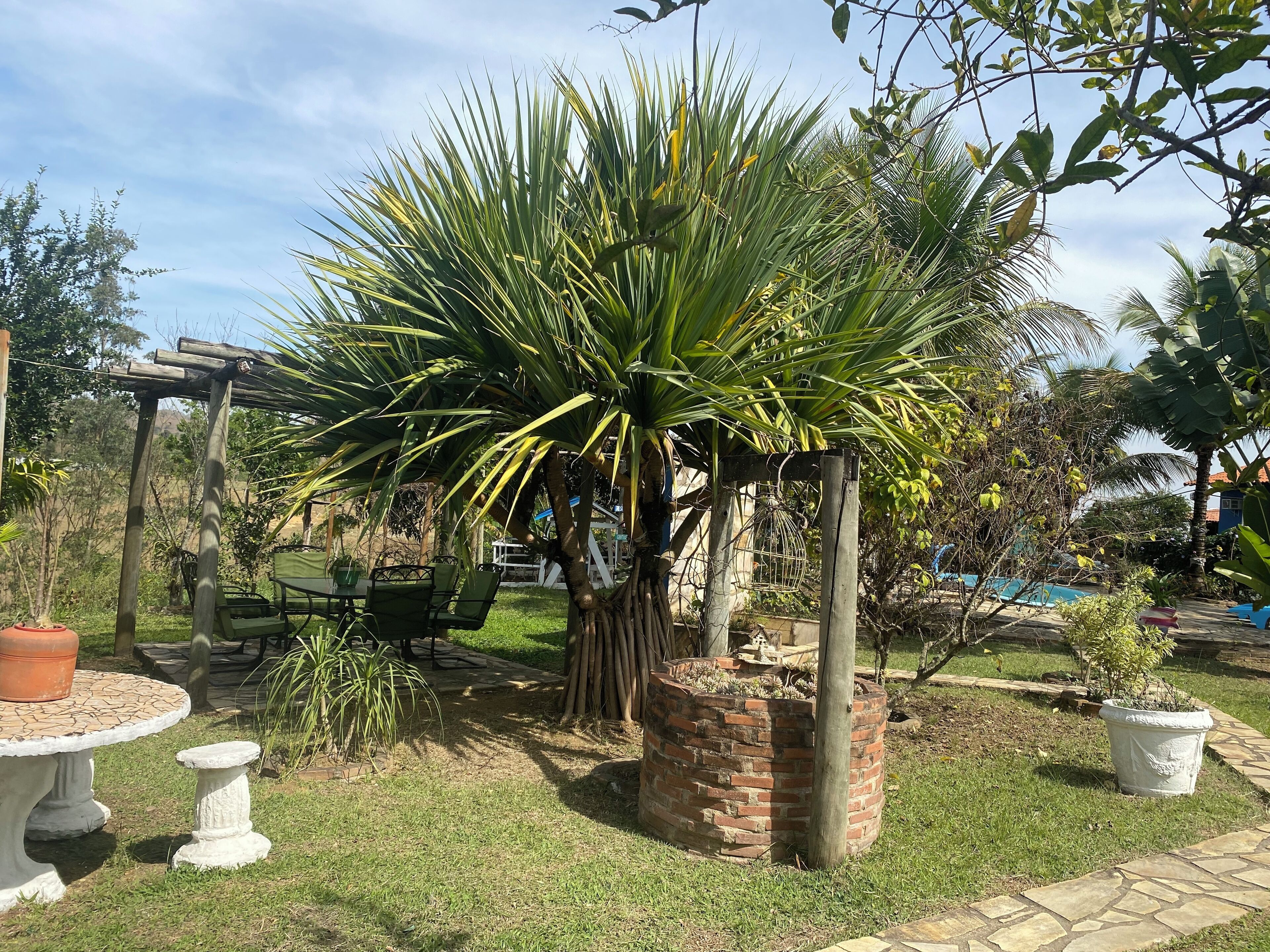 Terrazza/patio