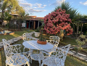 Un jardin avec une table et des chaises en métal blanc, entouré de diverses plantes et d’un cactus.