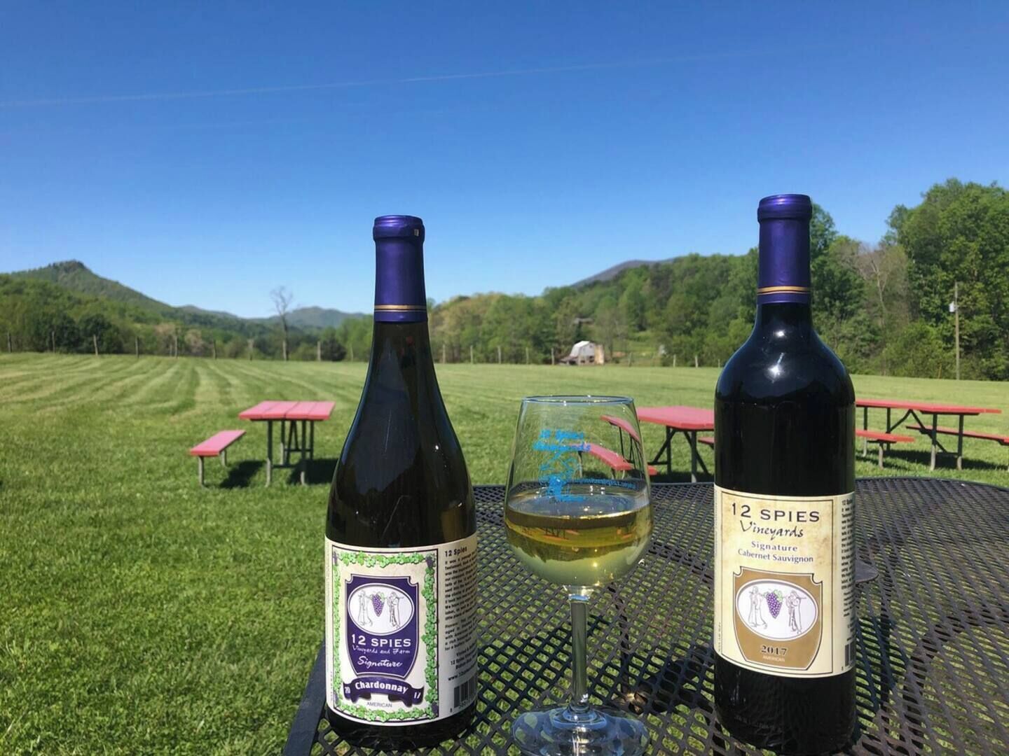 Twee flessen 12 Spies Signature Cabernet Sauvignon wijn en een glas witte wijn op een tafel in een grasveld, met picknicktafels op de achtergrond.