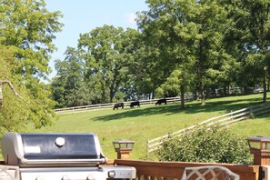 Property grounds - Family Friendly Home w/ Large 1 Acre Backyard & Decks (Peach Bottom)
