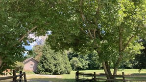 A gravel path leading to a wooden gate, surrounded by lush green trees and a small building in the background. - Family Friendly Home w/ Large 1 Acre Backyard & Decks (Peach Bottom)