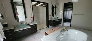 Combined shower/bathtub, jetted bath, hair dryer, bidet