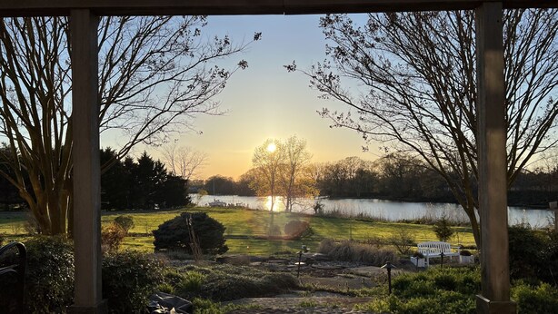 A covered outdoor area with a view of a lake and trees.