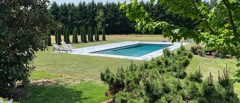 Une piscine rectangulaire entourée d’une pelouse bien entretenue et de diverses plantes.