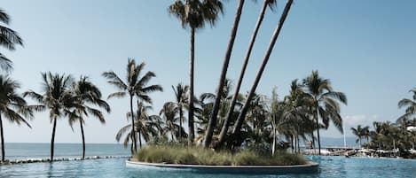 Piscine extérieure, piscine chauffée