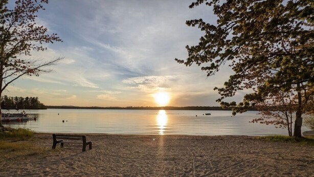 Ranta, jossa on penkki ja puu, ja josta avautuu näkymä tyynelle järvelle auringonlaskun aikaan.