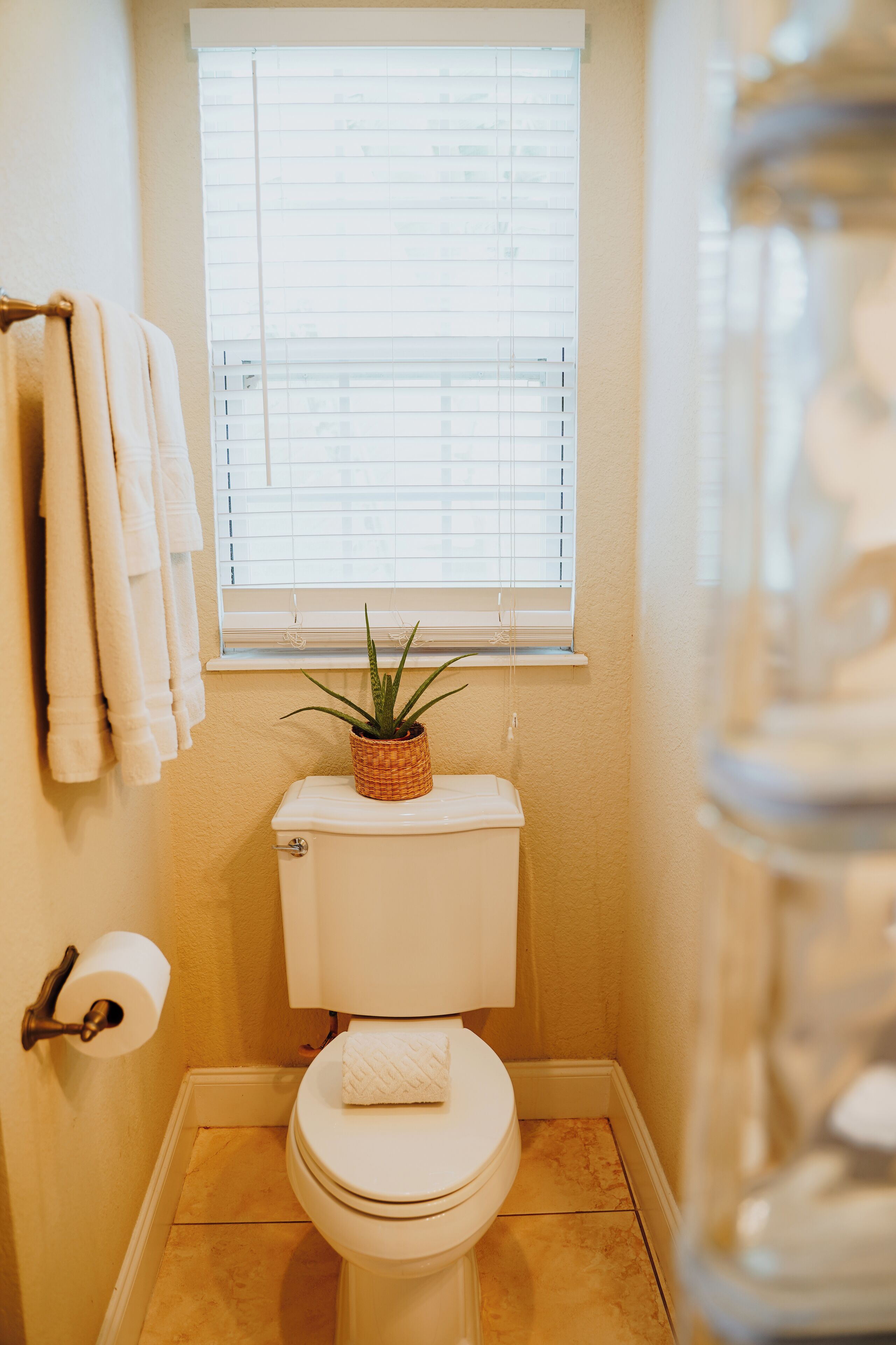 Een kleine badkamer met toilet, een raam met zonwering, een plant in een mandje op het toilet, een rol toiletpapier en een glazen pot aan de rechterkant.