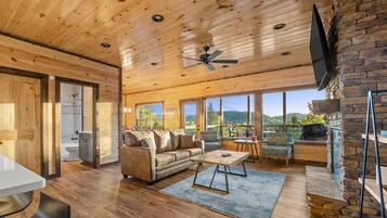 Een smart-tv, een open haard, videogames en een dvd-speler