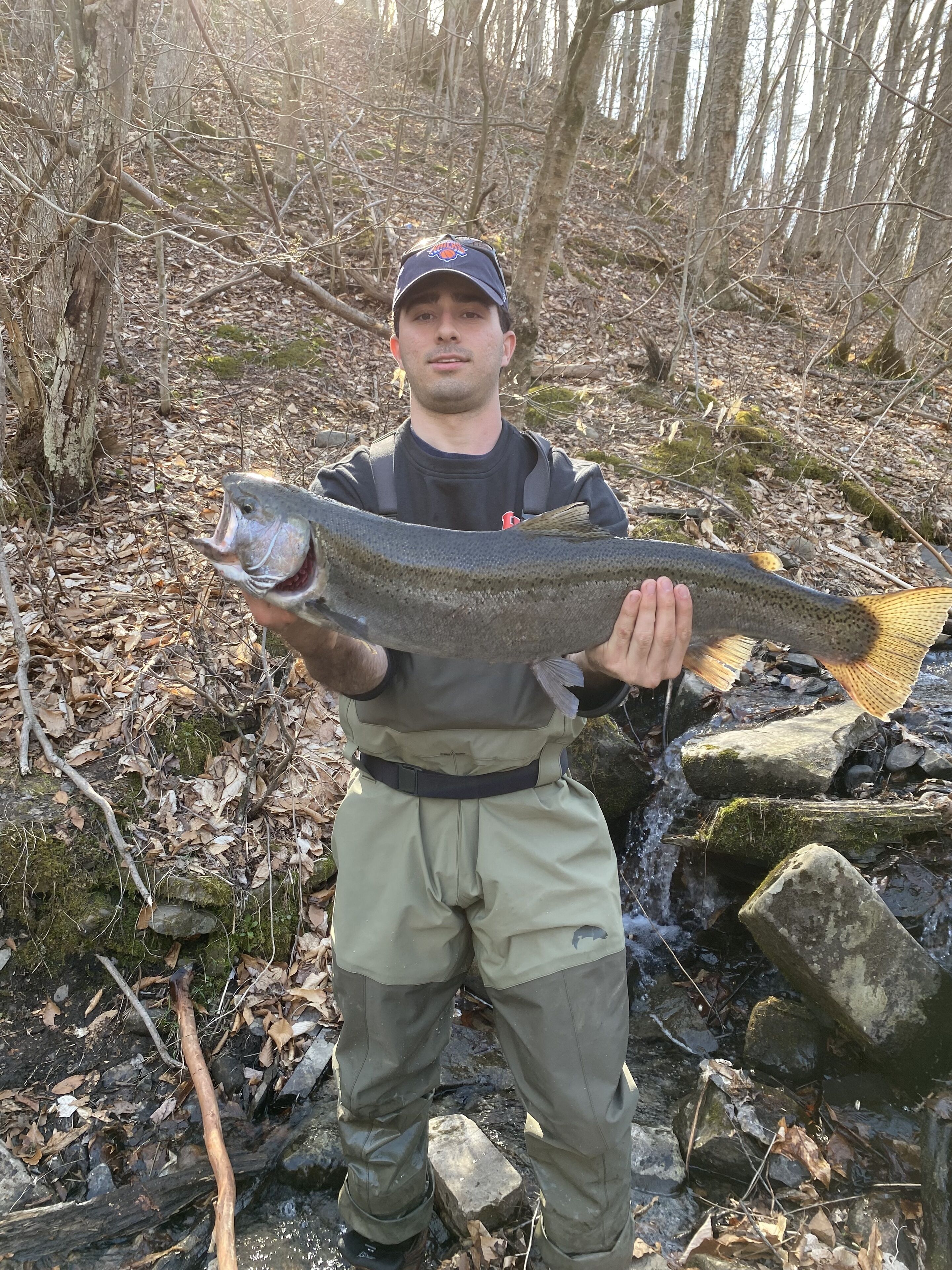 A person holding a large fish in a forested area with rocks and fallen leaves.
