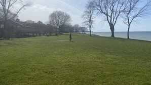 Eine parkähnliche Grünfläche mit einer Person, Bäumen und einem Gewässer im Hintergrund.