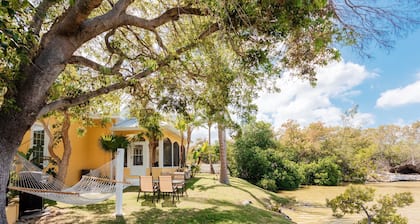 Immerse in tranquility of Travellers Room at Award-Winning Shangri-La B & B