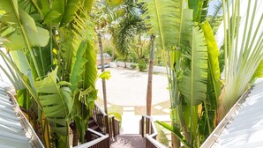 Una scala circondata da rigogliosa vegetazione tropicale che conduce a un’area di parcheggio.