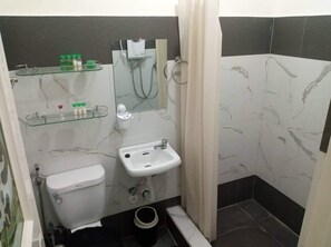 Shower, bidet, towels, soap