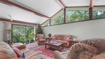 TV connectée, cheminée, table de tennis de table, livres